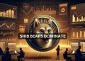 آیا شیبا رالی بیش از 0.0000259 دلار خواهد داشت؟ نگاهی به وضعیت SHIB