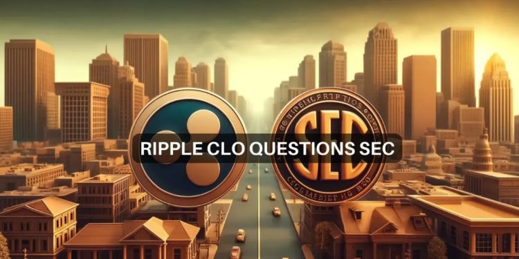 ریپل ، SECو افشاگری – حکم این دادگاه به چه معناست؟؟