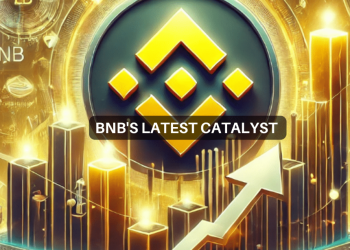 BNB – بررسی شانس افزایش آلت کوین به بالاترین سطح در حال حاضر