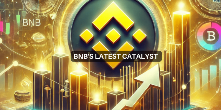 BNB – بررسی شانس افزایش آلت کوین به بالاترین سطح در حال حاضر